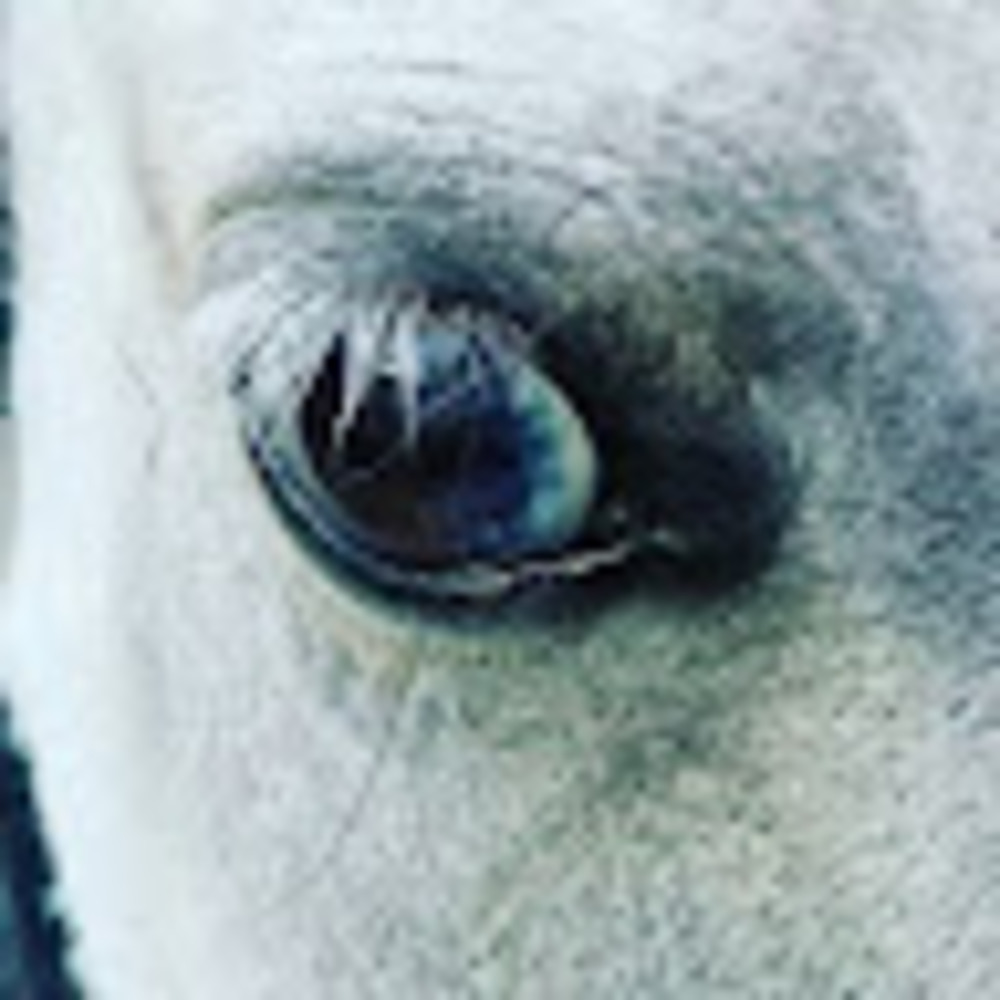 Meet your Posher, - kawiiminte